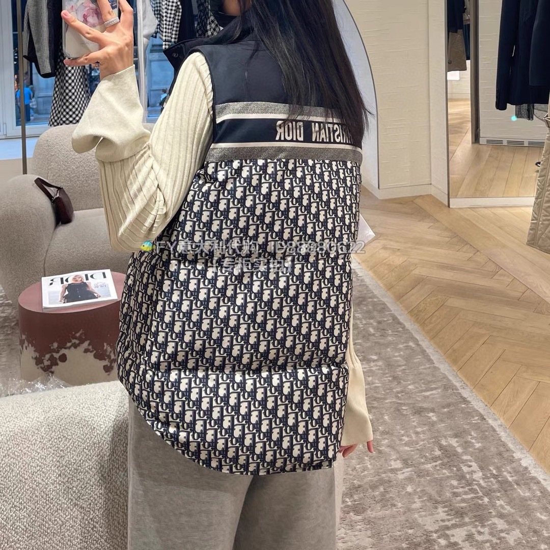 Dior Reversible Navy Quilted Down Vest — model