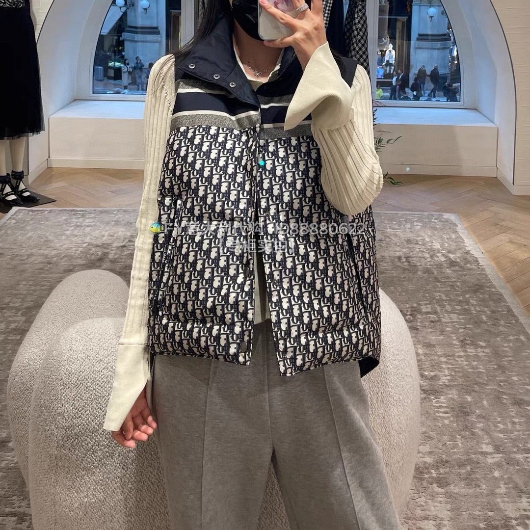 Dior Reversible Navy Quilted Down Vest — model