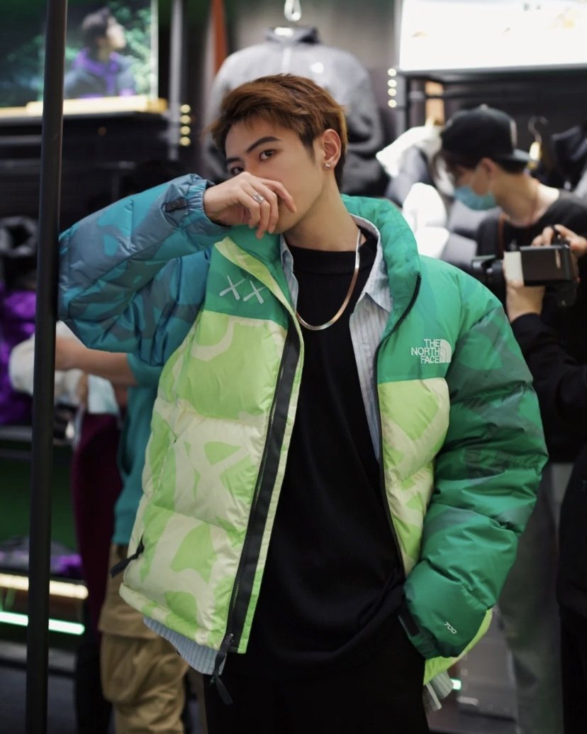 The North Face Camouflage Puffer Jacket — model