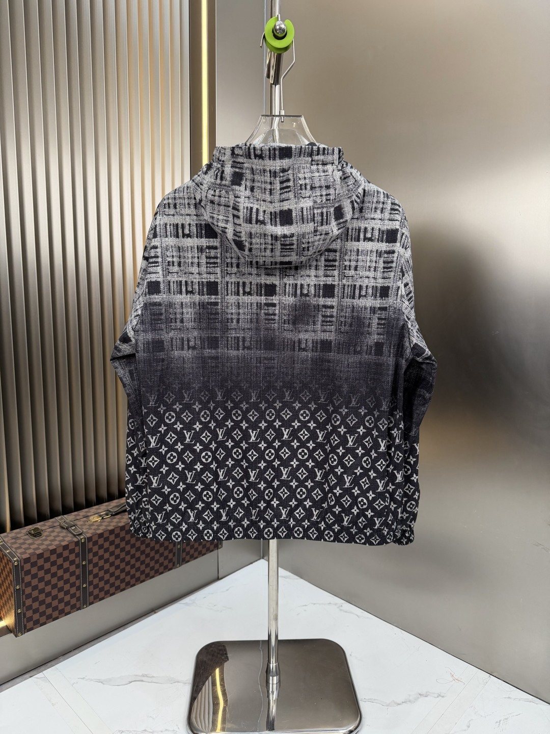 LV Gradient Panel Hooded Jacket — back