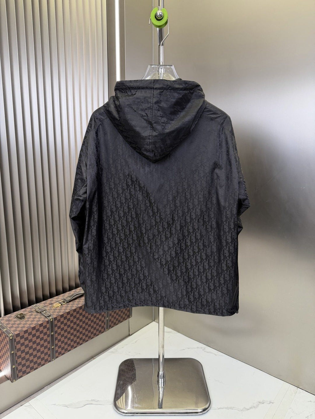 Dior All-Over Monogram Hoodie — back